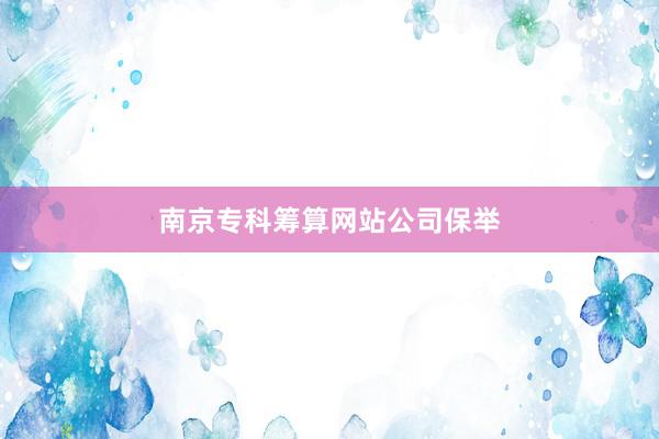 南京专科筹算网站公司保举