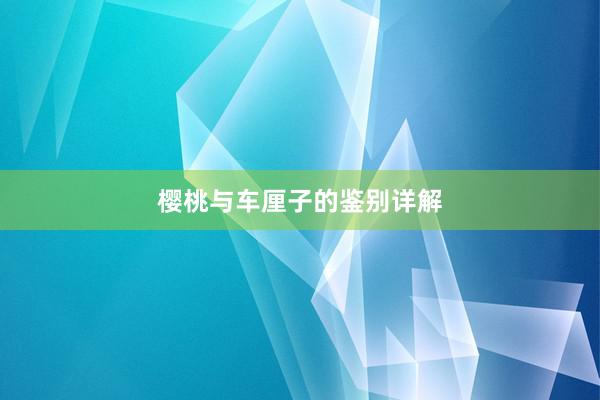 樱桃与车厘子的鉴别详解