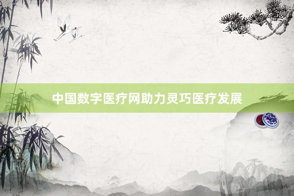 中国数字医疗网助力灵巧医疗发展
