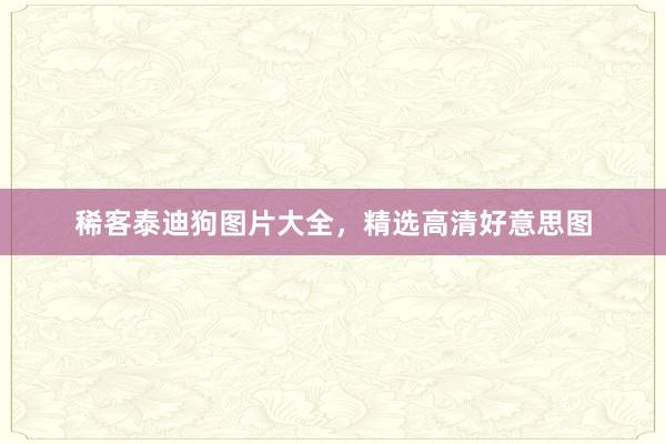 稀客泰迪狗图片大全，精选高清好意思图