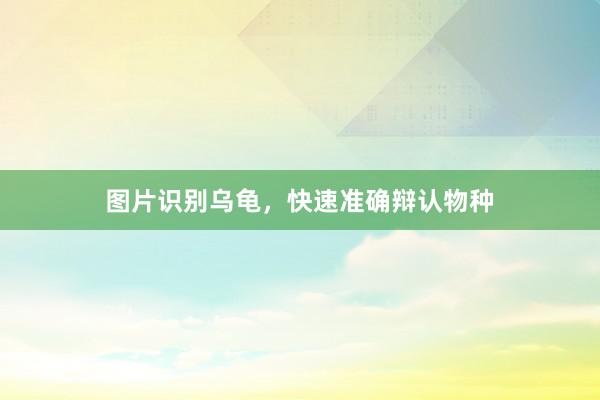 图片识别乌龟，快速准确辩认物种